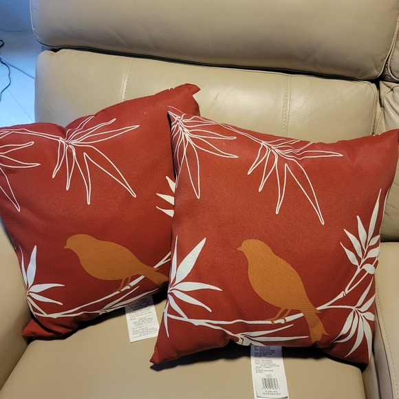 Brand New 2 Outdoor Pillows - Picture 1 of 3